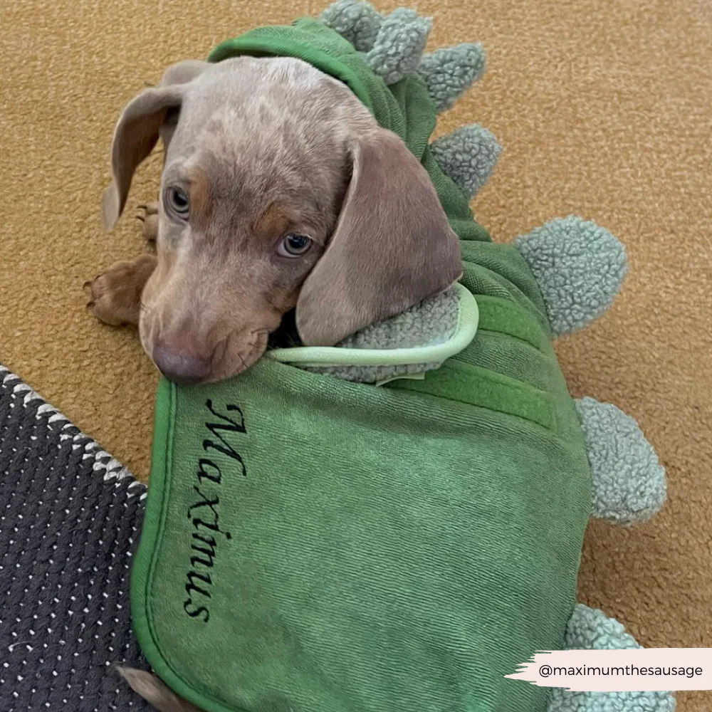 Dinopup Drying Robe - Image 8