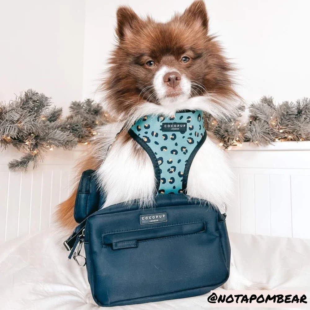 Dog Walking Bag - Black - Image 4