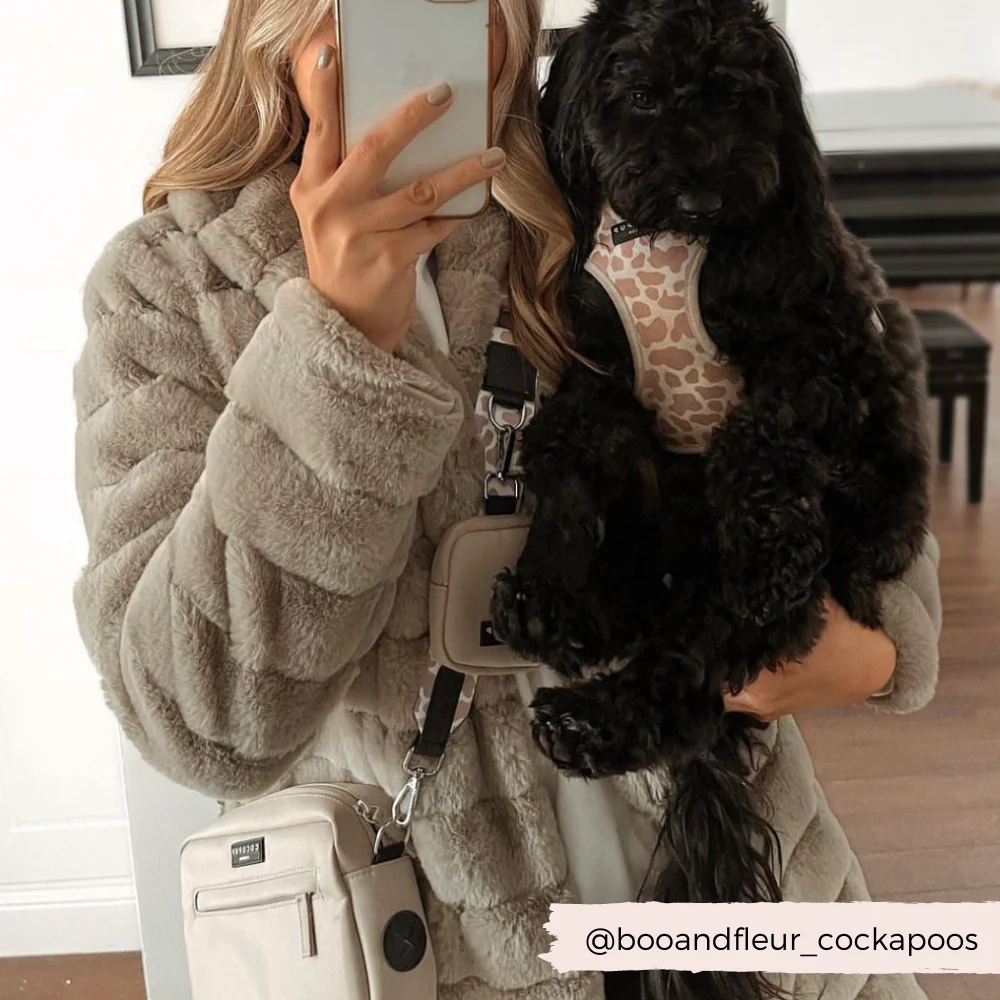 Dog Walking Bag - Caramel Latte - Image 7