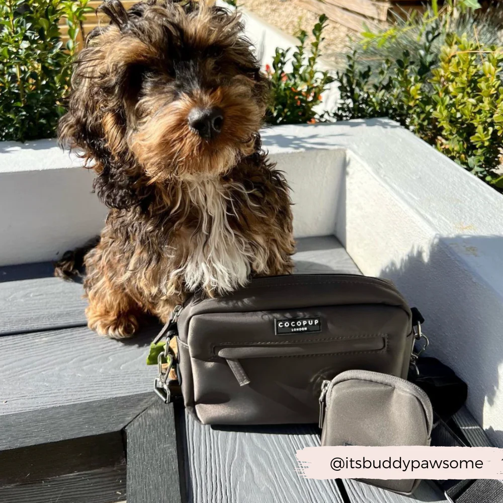 Dog Walking Bag - Mocha - Image 4