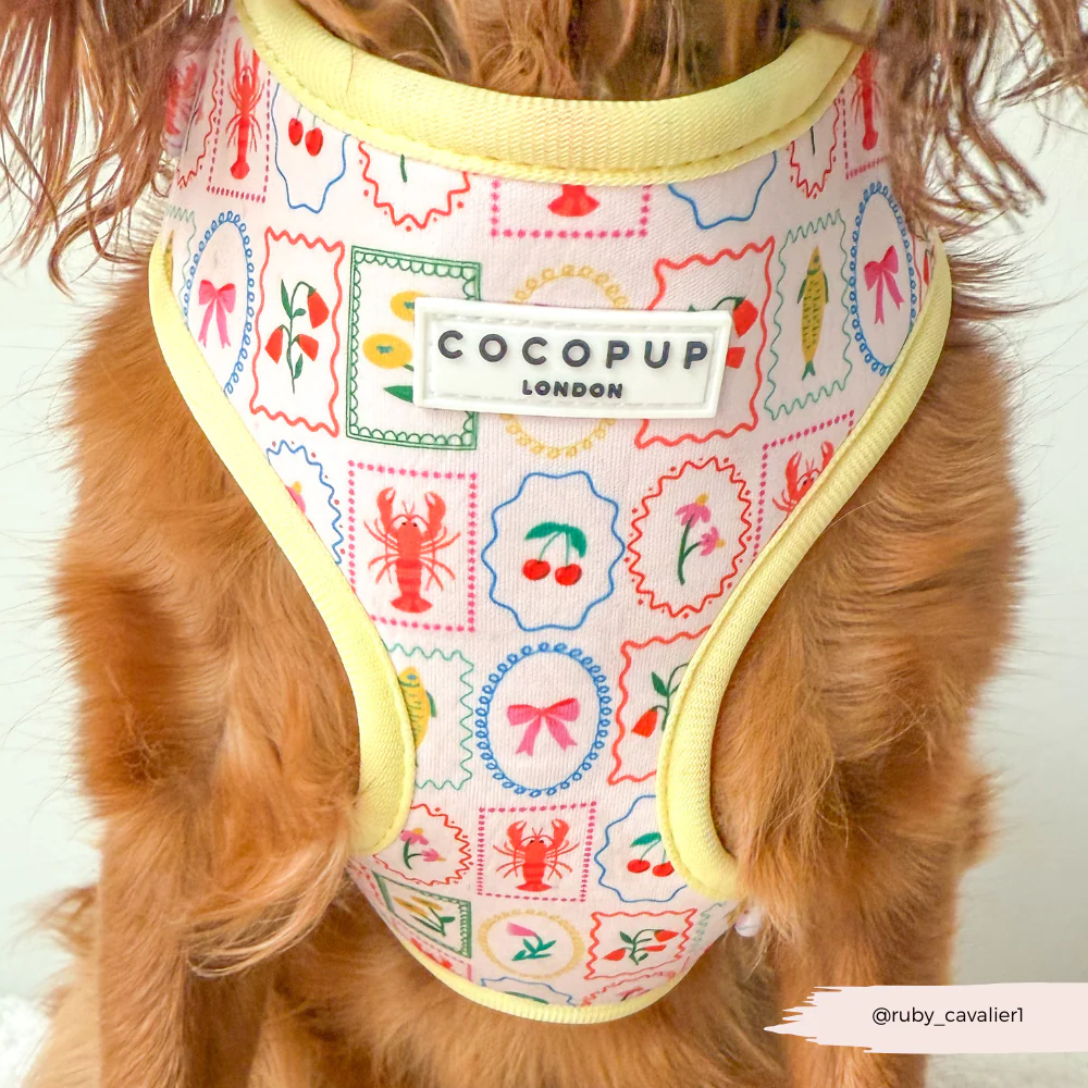 Dolce Vita Adjustable Neck HARNESS - Image 10