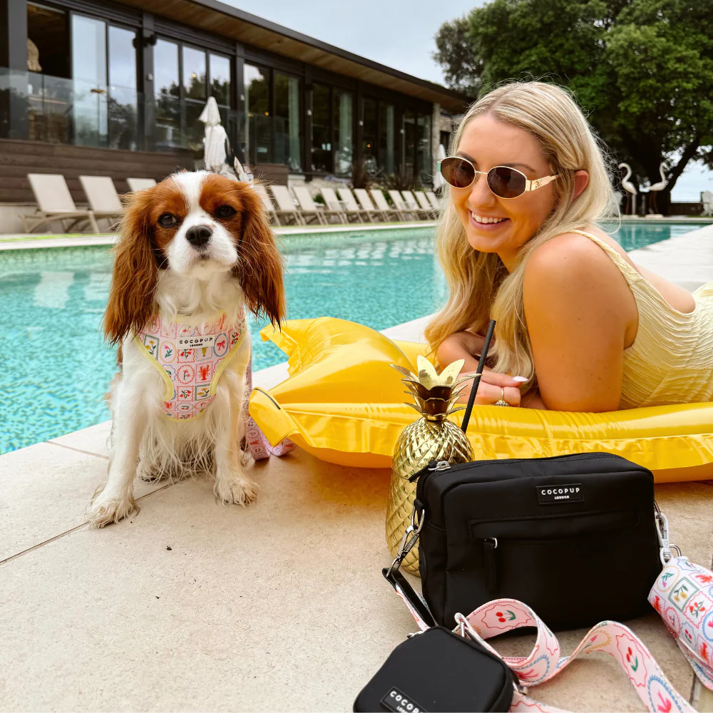 Dolce Vita Adjustable Neck HARNESS - Image 11