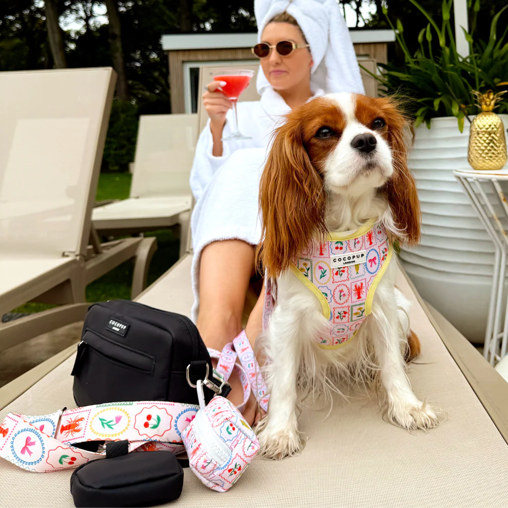 Dolce Vita Adjustable Neck HARNESS - Image 13