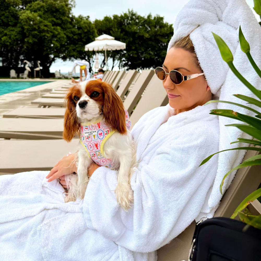 Dolce Vita Adjustable Neck HARNESS - Image 14