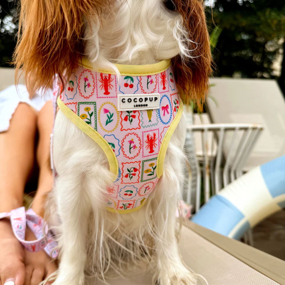 Dolce Vita Adjustable Neck HARNESS - Image 15