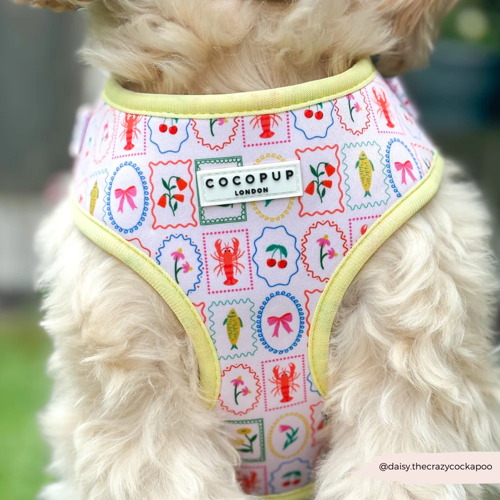 Dolce Vita Adjustable Neck HARNESS - Image 18