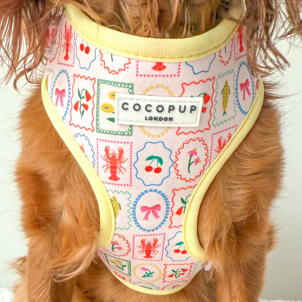 Dolce Vita Adjustable Neck HARNESS - Image 25