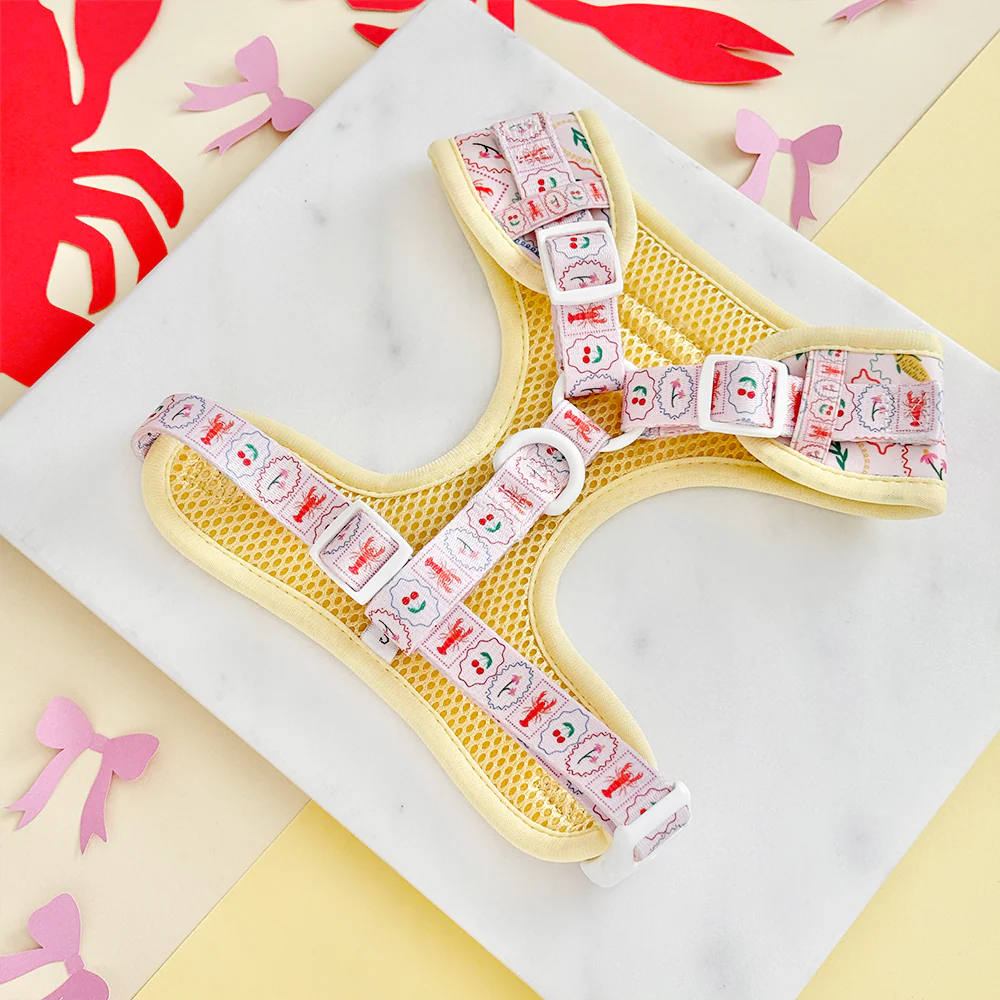 Dolce Vita Adjustable Neck HARNESS - Image 3