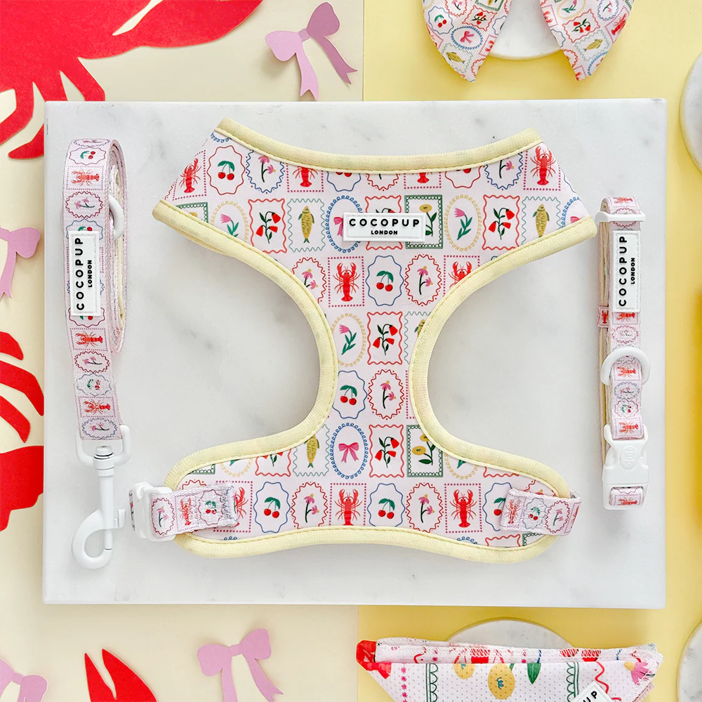 Dolce Vita Adjustable Neck HARNESS - Image 4