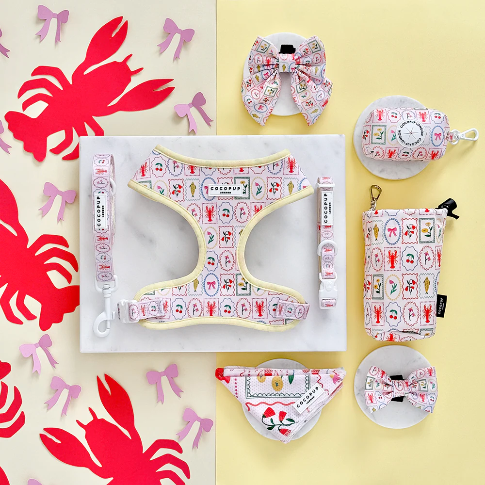 Dolce Vita Adjustable Neck HARNESS - Image 5