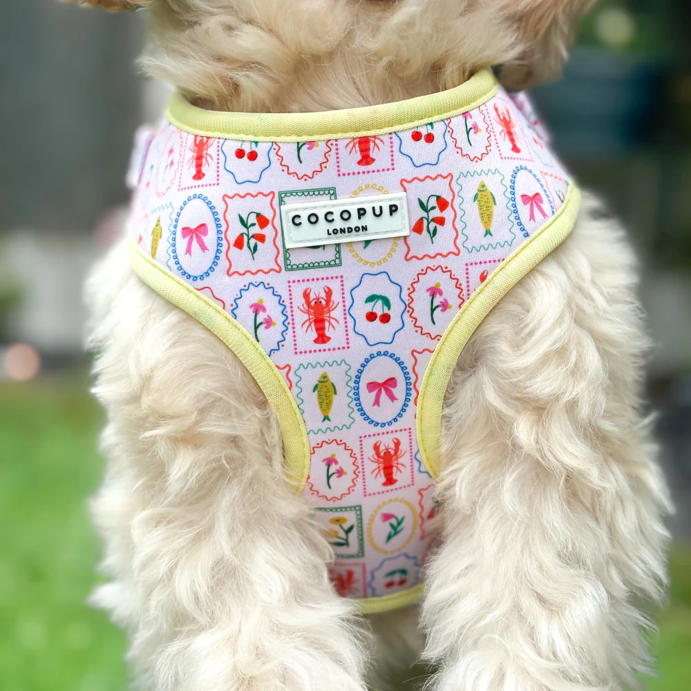 Dolce Vita Adjustable Neck HARNESS - Image 6