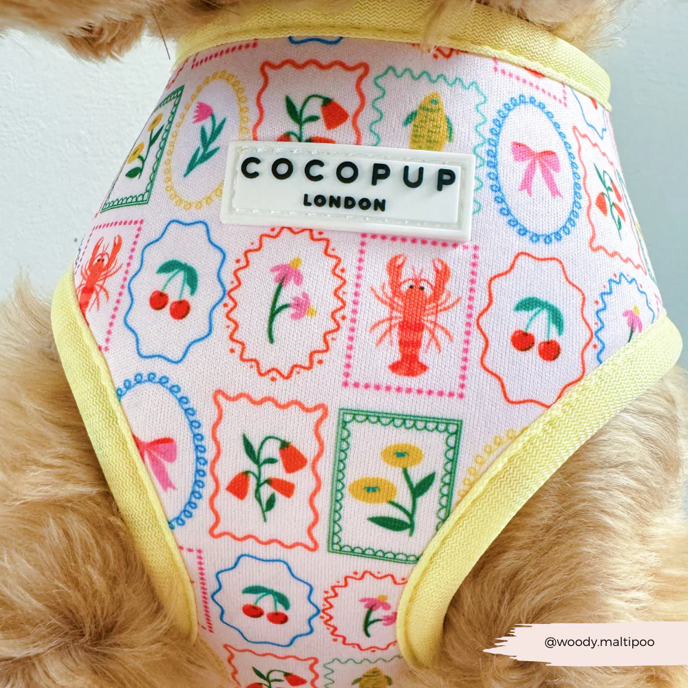 Dolce Vita Adjustable Neck HARNESS - Image 7