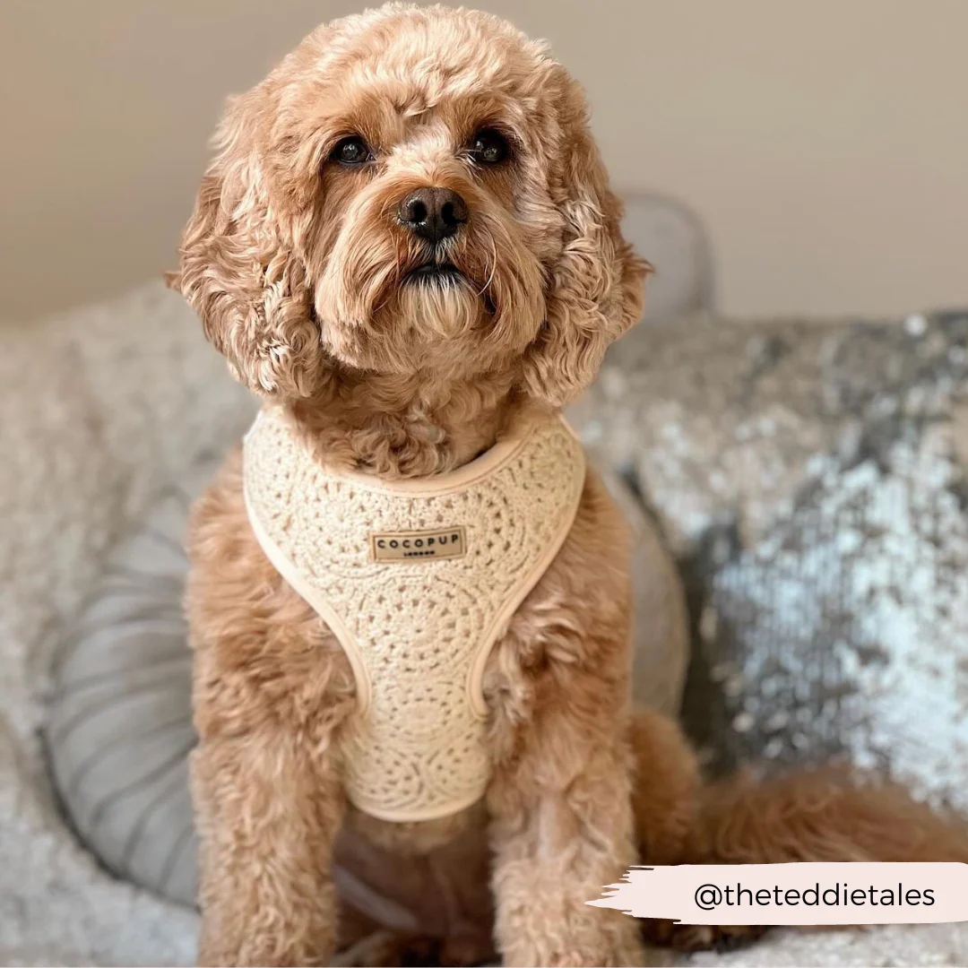 Festival Crochet Adjustable Neck HARNESS - Image 10