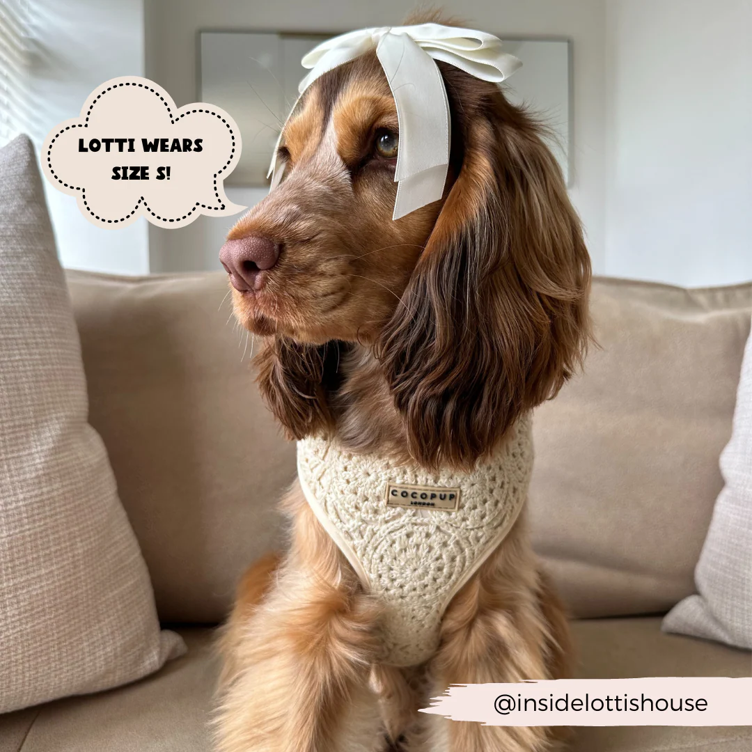 Festival Crochet Adjustable Neck HARNESS - Image 11