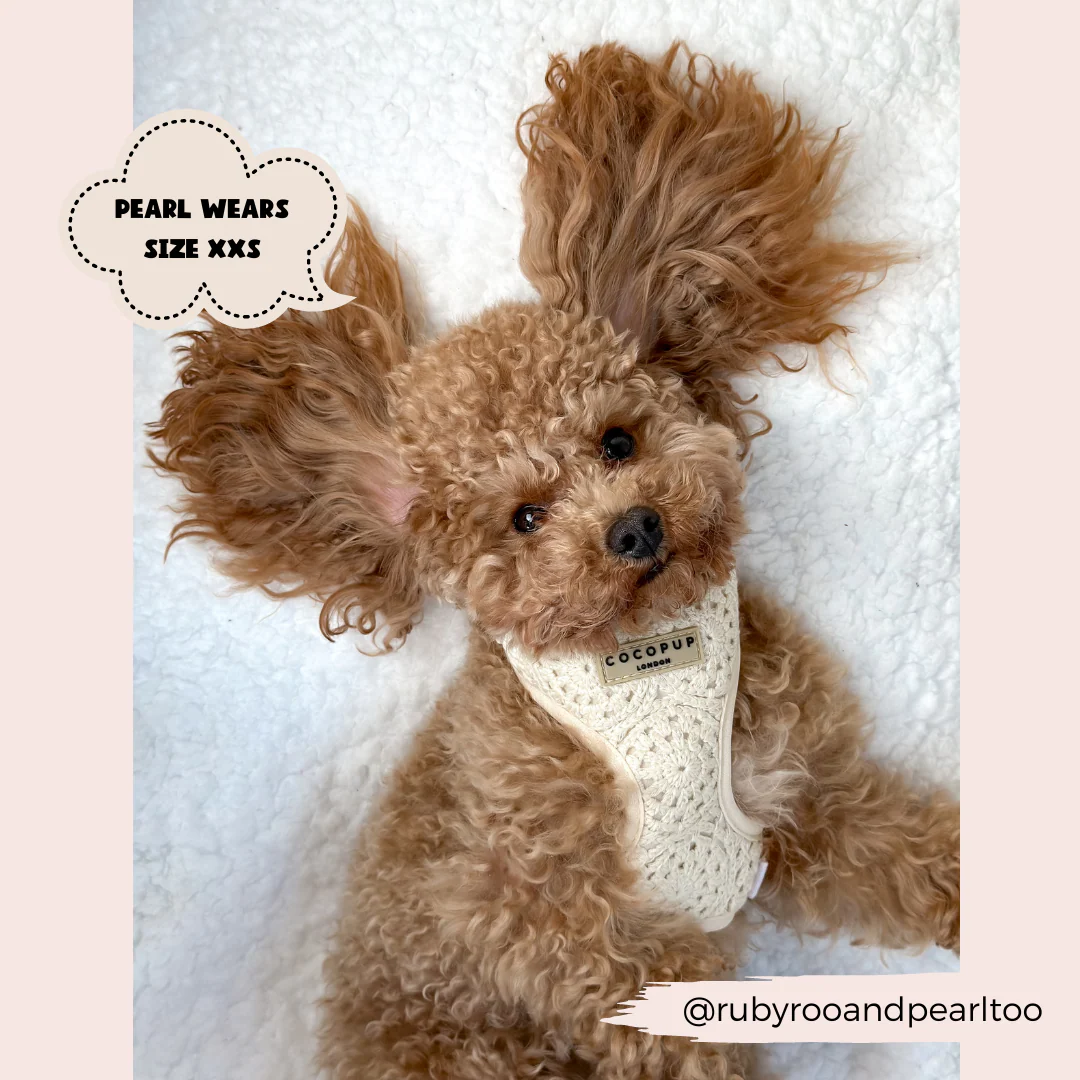 Festival Crochet Adjustable Neck HARNESS - Image 12