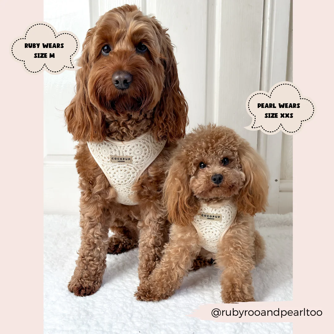 Festival Crochet Adjustable Neck HARNESS - Image 13