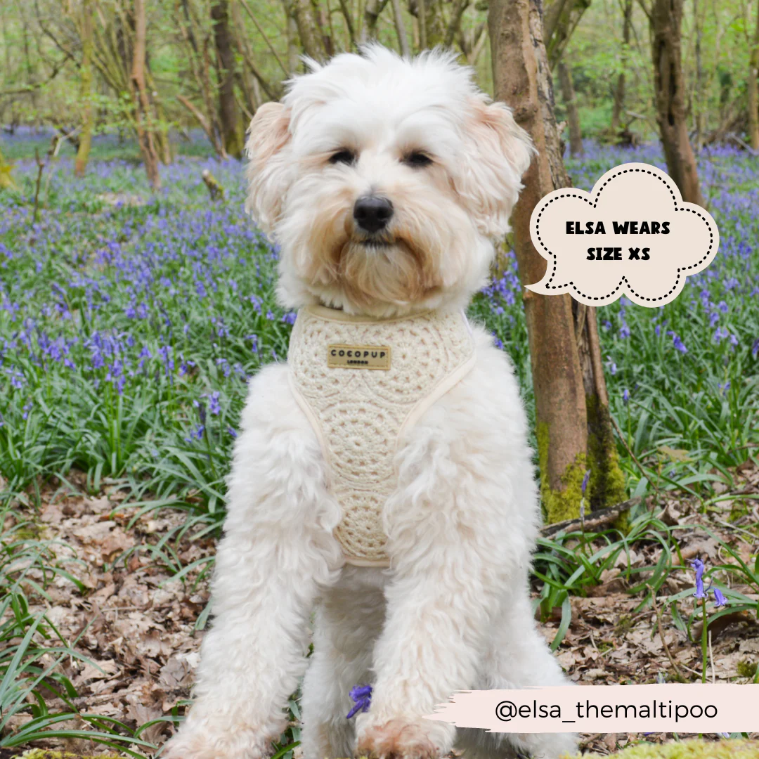 Festival Crochet Adjustable Neck HARNESS - Image 15