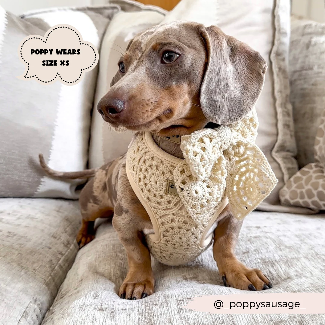 Festival Crochet Adjustable Neck HARNESS - Image 16