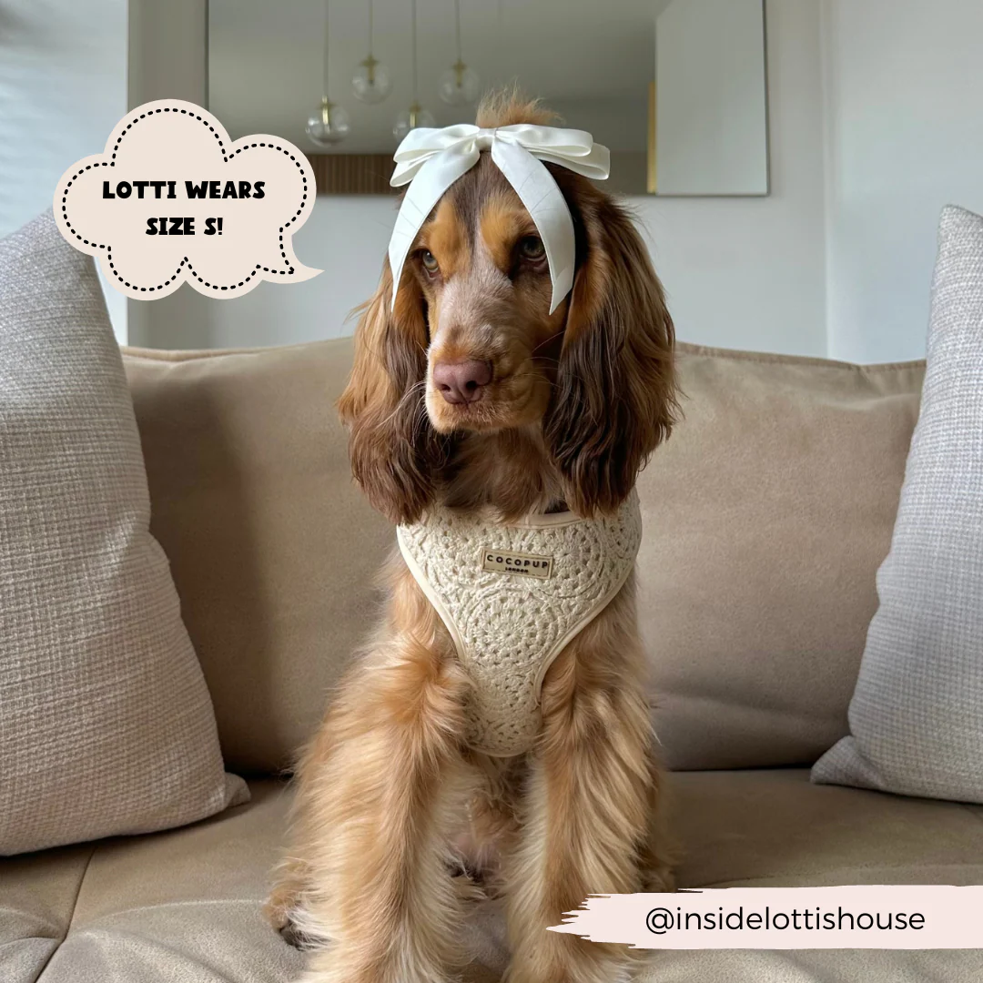 Festival Crochet Adjustable Neck HARNESS - Image 17