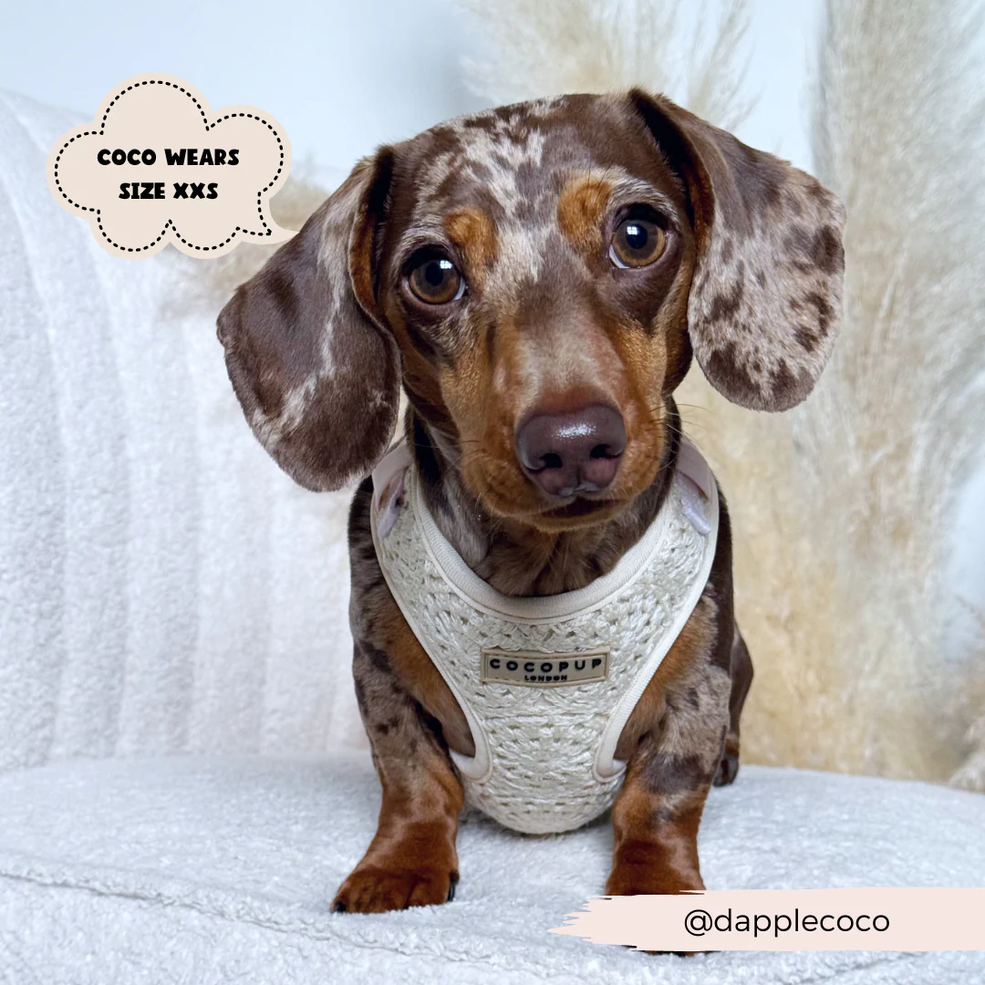 Festival Crochet Adjustable Neck HARNESS - Image 18