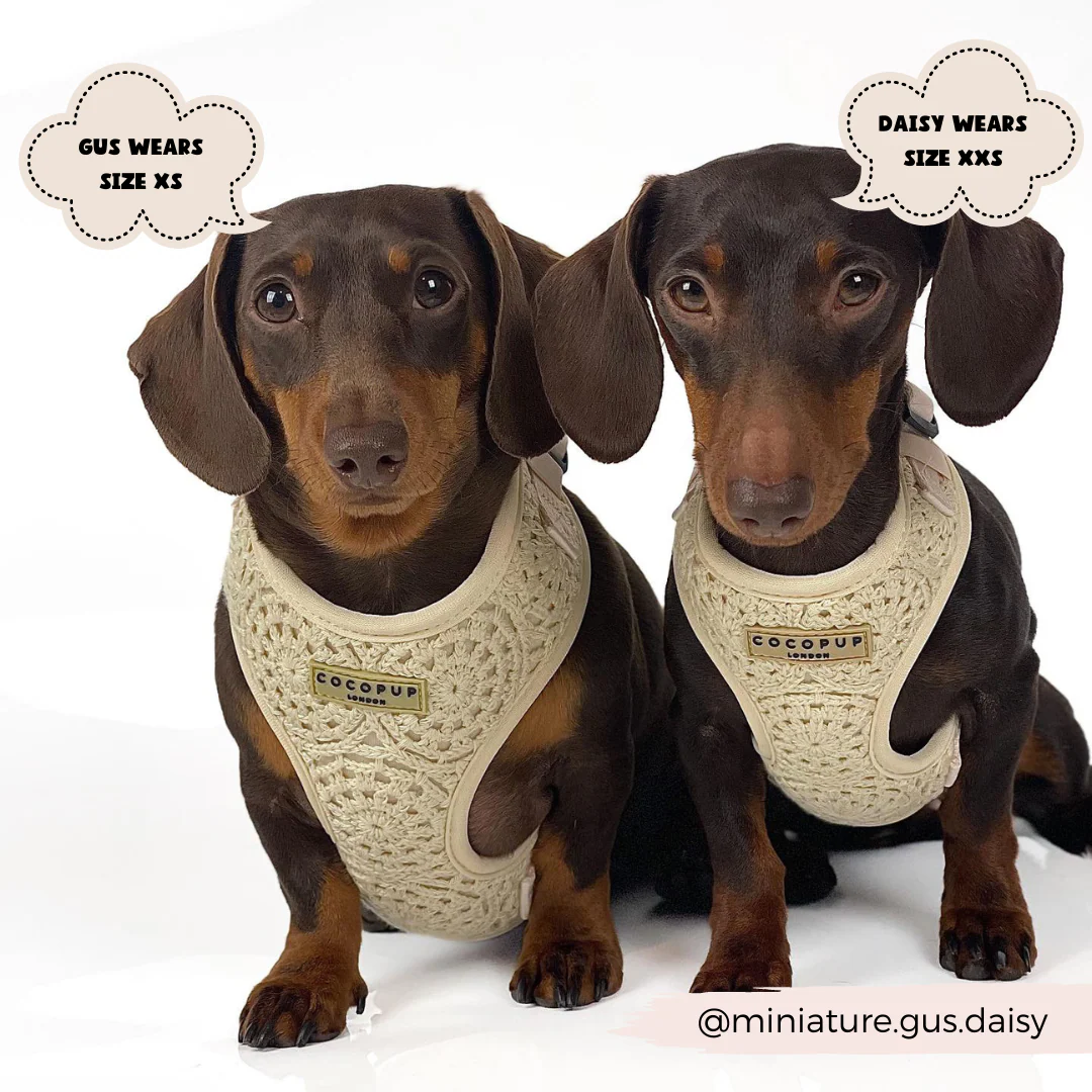 Festival Crochet Adjustable Neck HARNESS - Image 19