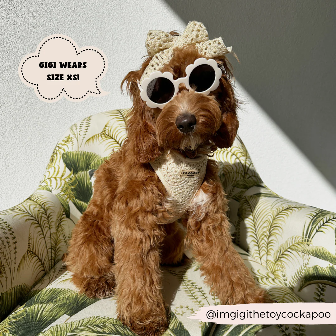 Festival Crochet Adjustable Neck HARNESS - Image 20