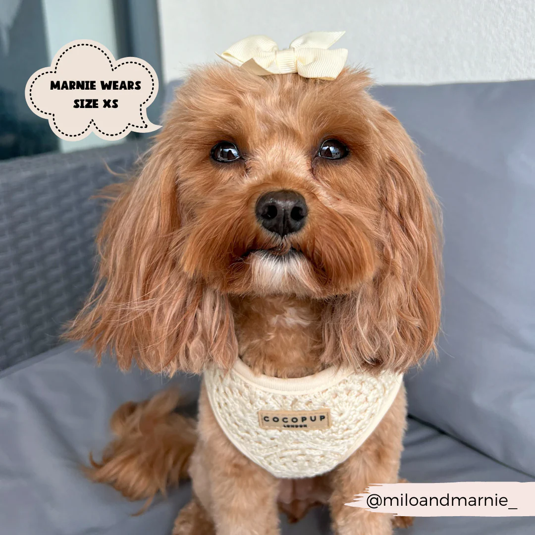 Festival Crochet Adjustable Neck HARNESS - Image 22