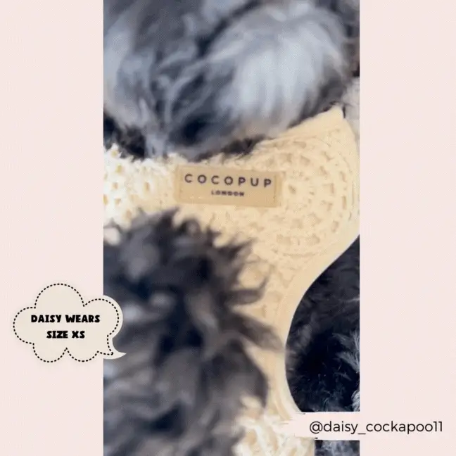 Festival Crochet Adjustable Neck HARNESS - Image 23