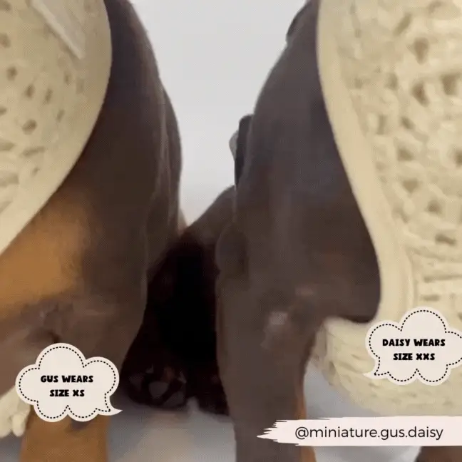 Festival Crochet Adjustable Neck HARNESS - Image 25