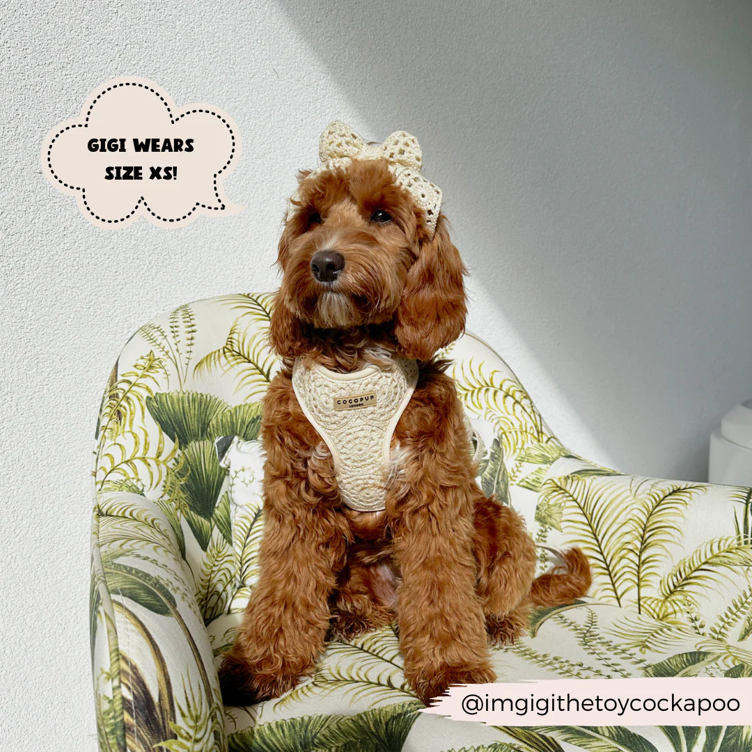 Festival Crochet Adjustable Neck HARNESS - Image 27