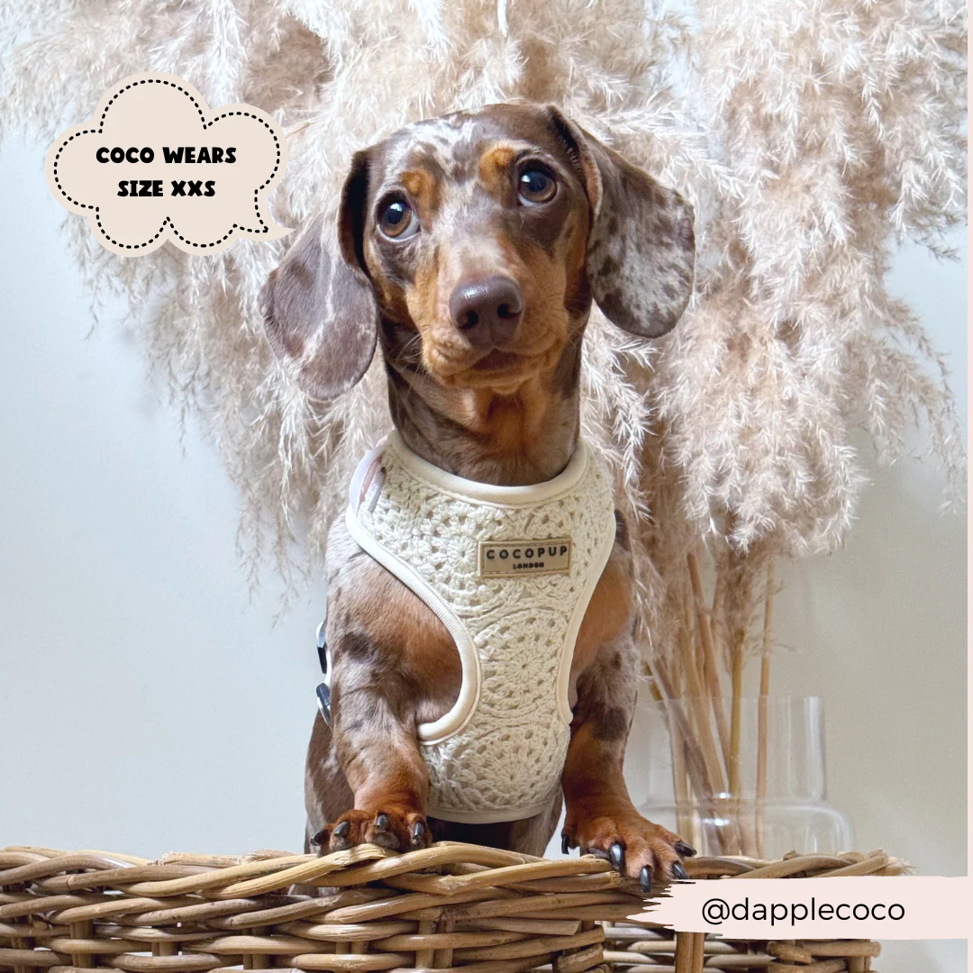 Festival Crochet Adjustable Neck HARNESS - Image 29