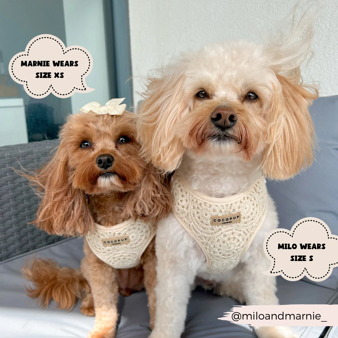 Festival Crochet Adjustable Neck HARNESS - Image 30