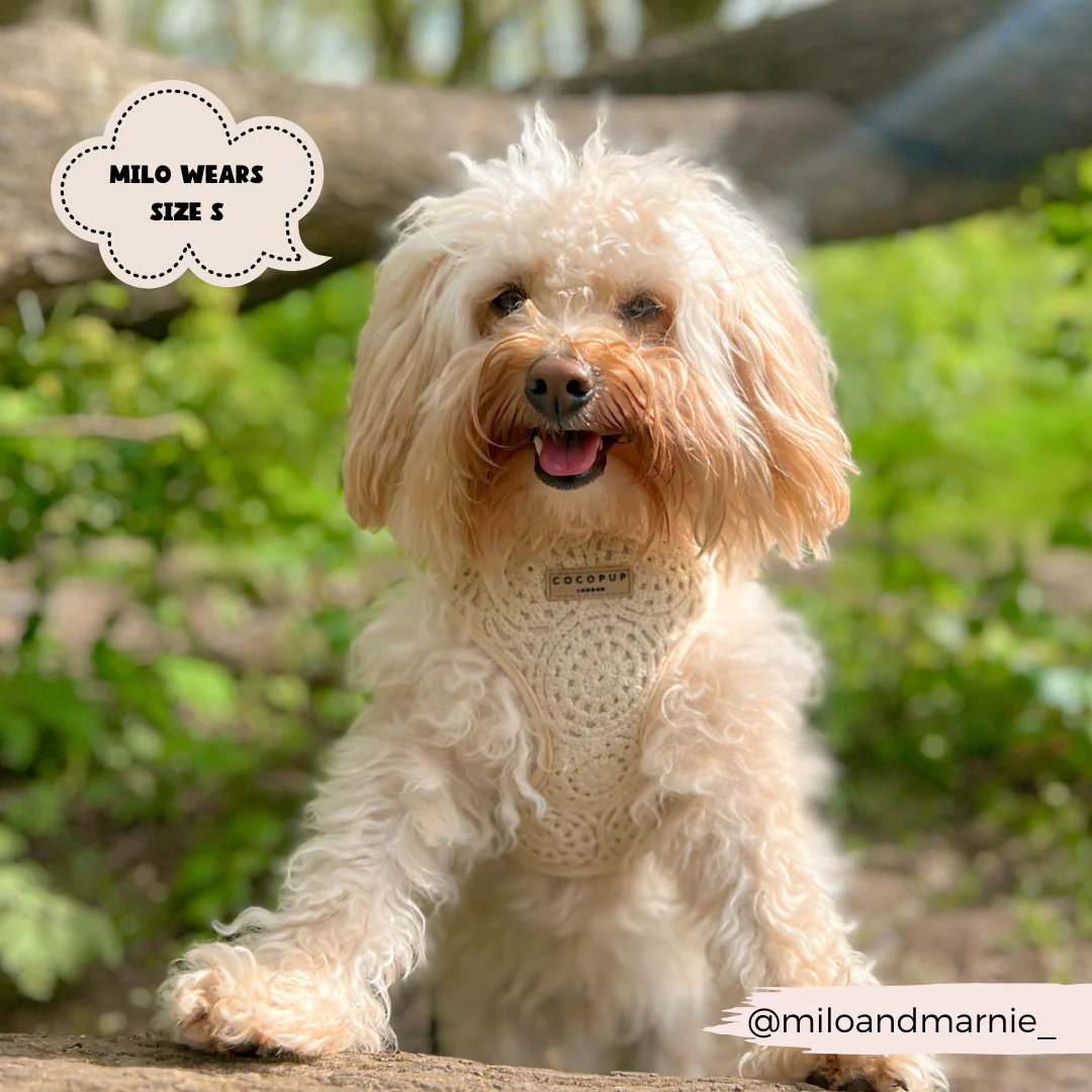 Festival Crochet Adjustable Neck HARNESS - Image 31