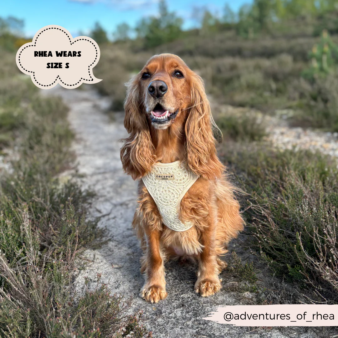 Festival Crochet Adjustable Neck HARNESS - Image 32