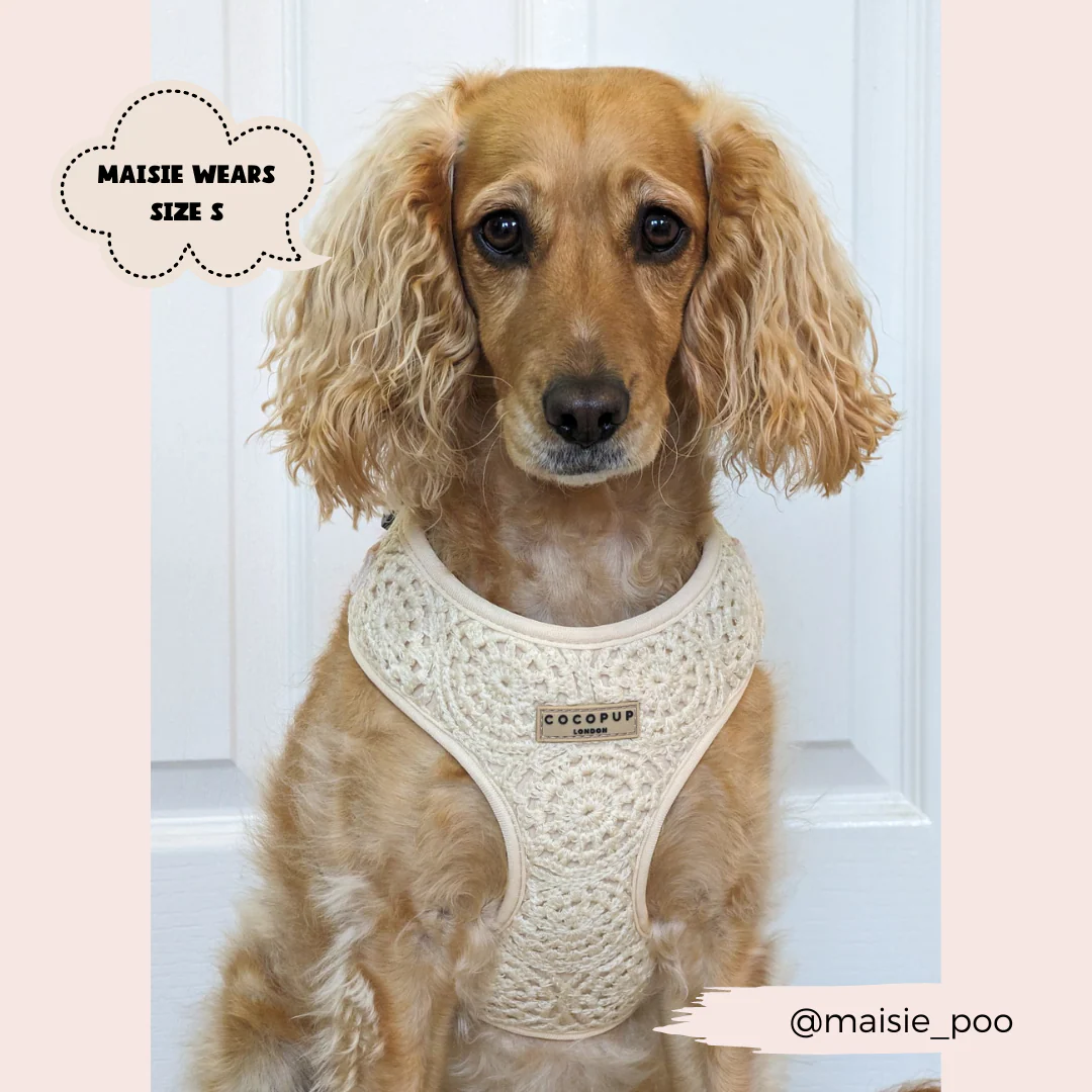 Festival Crochet Adjustable Neck HARNESS - Image 33