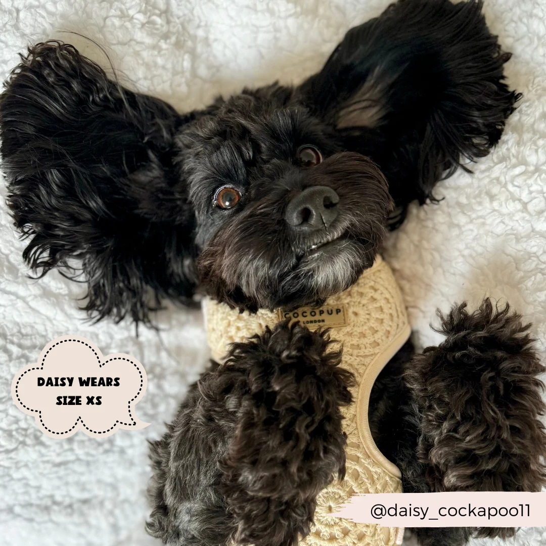 Festival Crochet Adjustable Neck HARNESS - Image 34