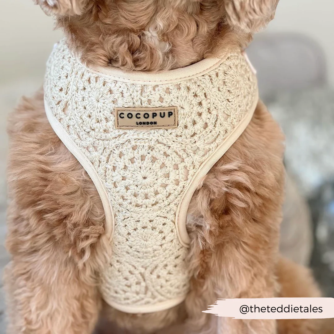 Festival Crochet Adjustable Neck HARNESS - Image 37