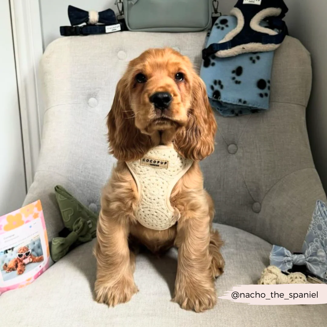 Festival Crochet Adjustable Neck HARNESS - Image 39