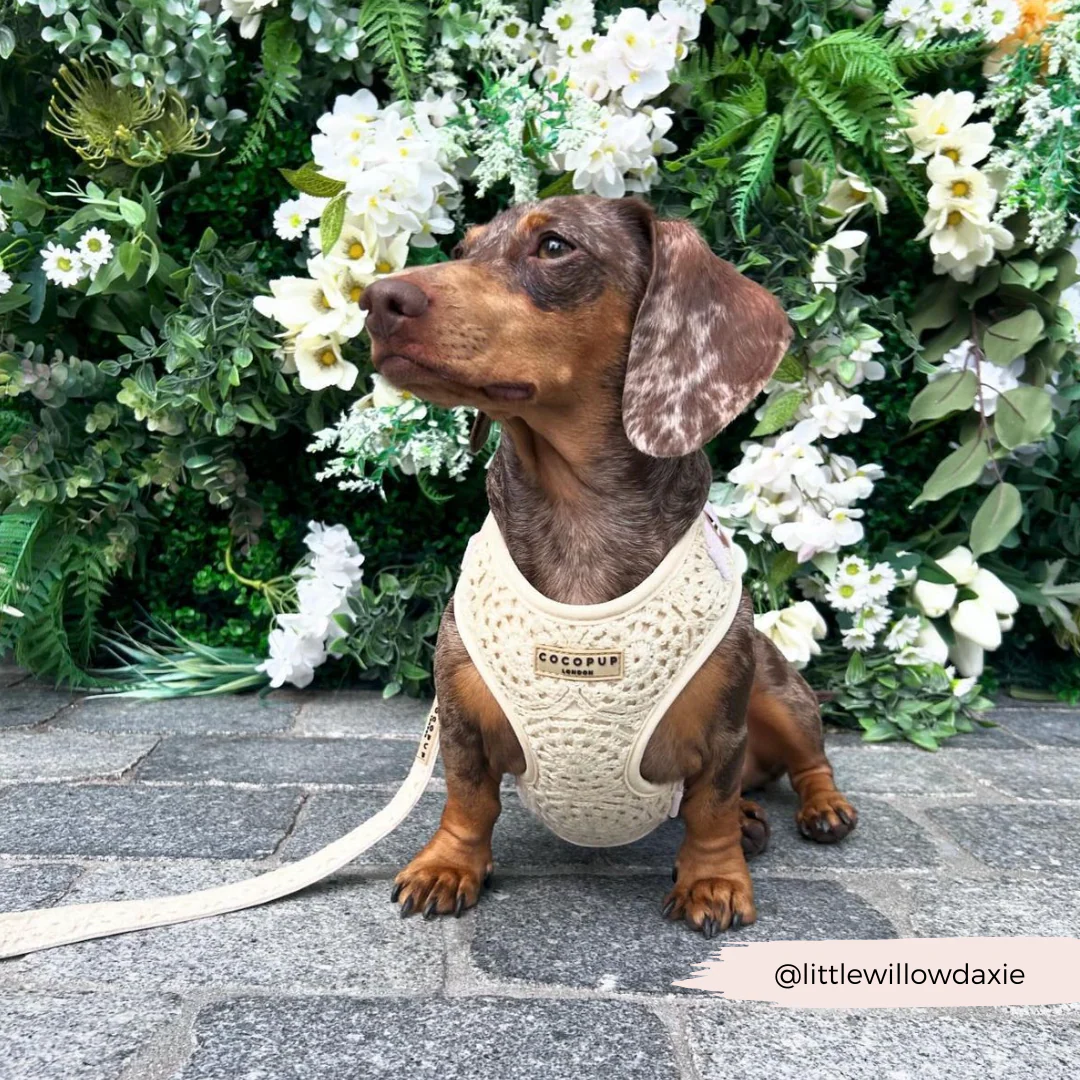 Festival Crochet Adjustable Neck HARNESS - Image 41