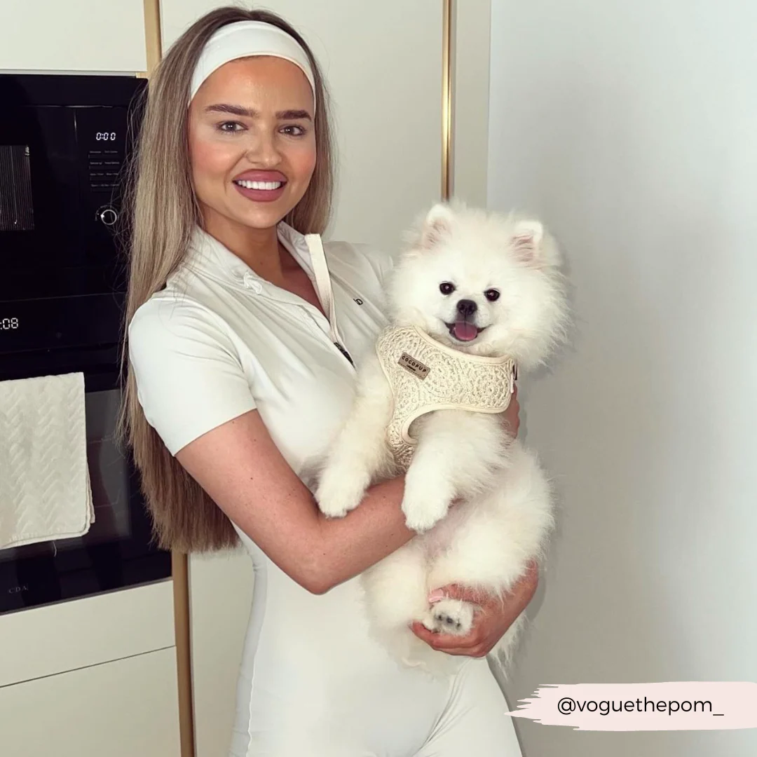 Festival Crochet Adjustable Neck HARNESS - Image 45