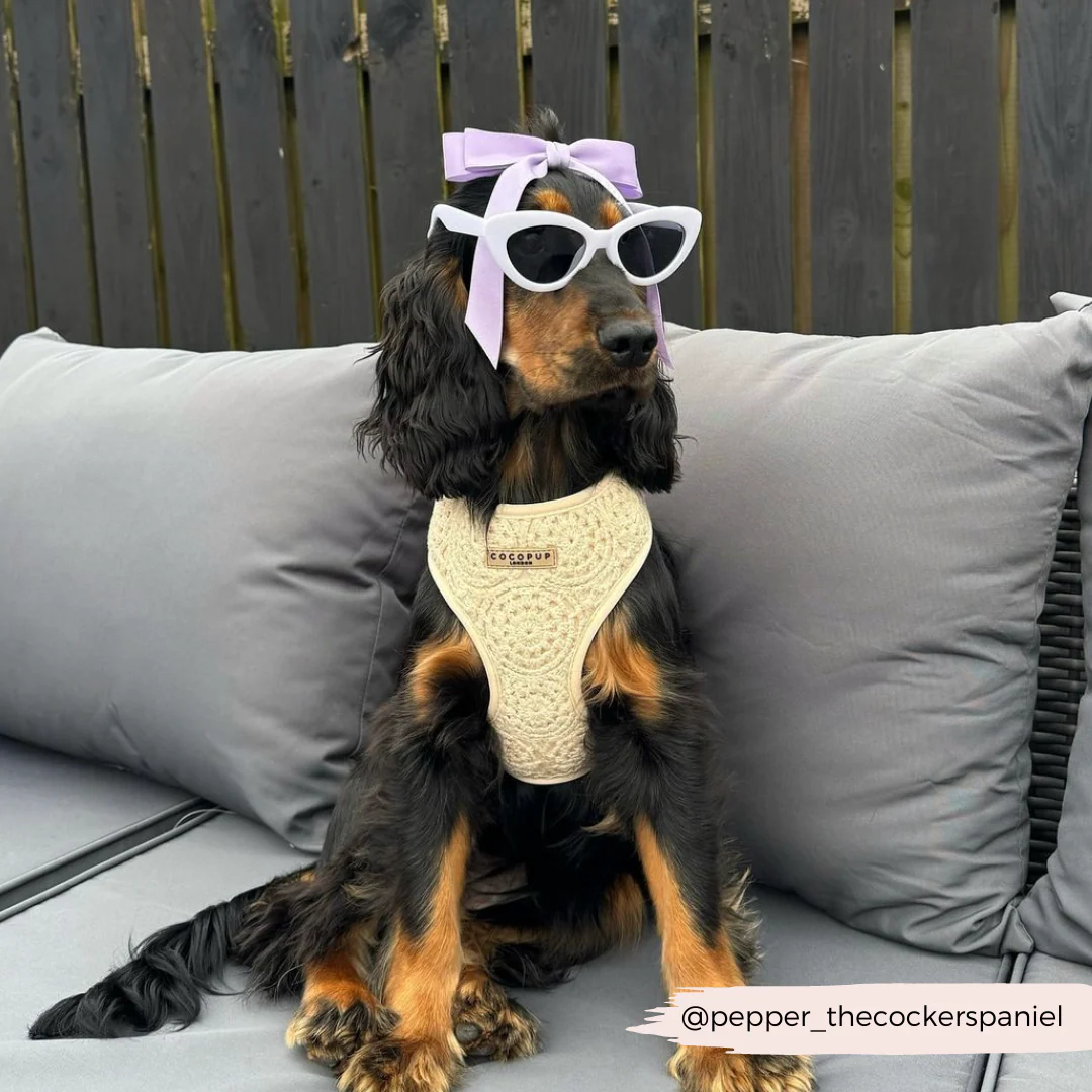 Festival Crochet Adjustable Neck HARNESS - Image 52