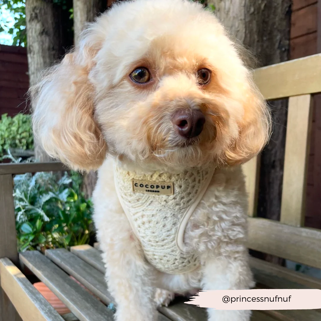 Festival Crochet Adjustable Neck HARNESS - Image 56