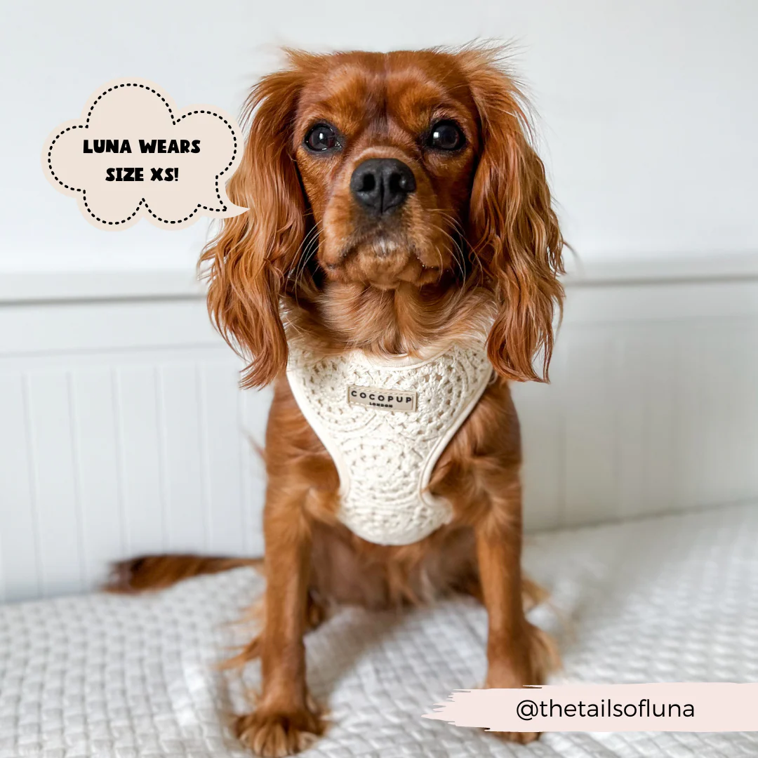 Festival Crochet Adjustable Neck HARNESS - Image 6