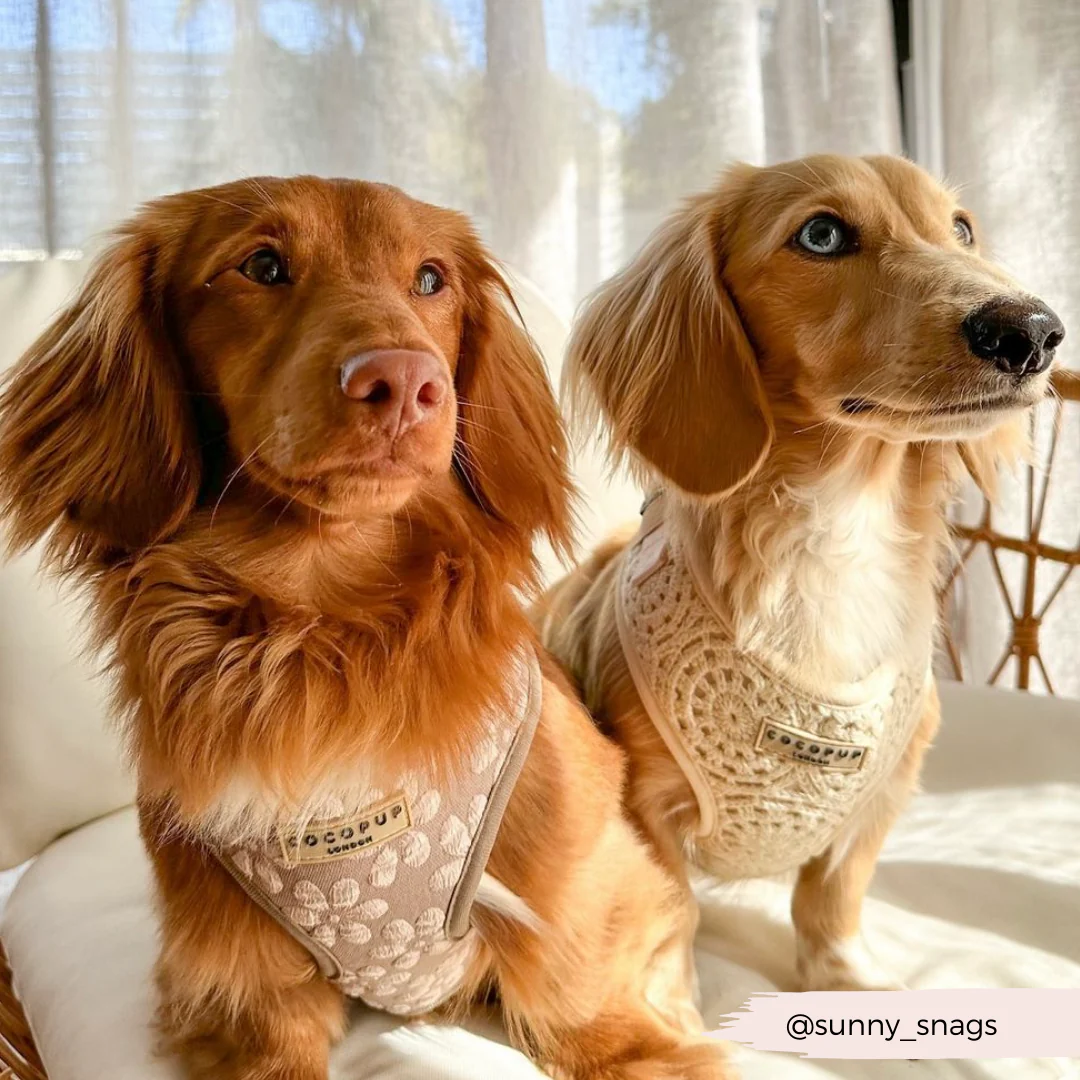 Festival Crochet Adjustable Neck HARNESS - Image 61