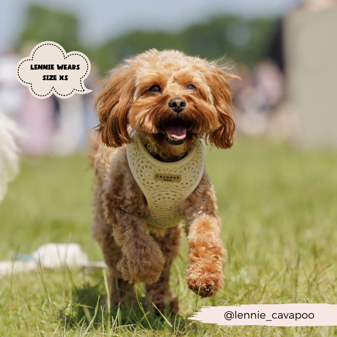 Festival Crochet Adjustable Neck HARNESS - Image 65