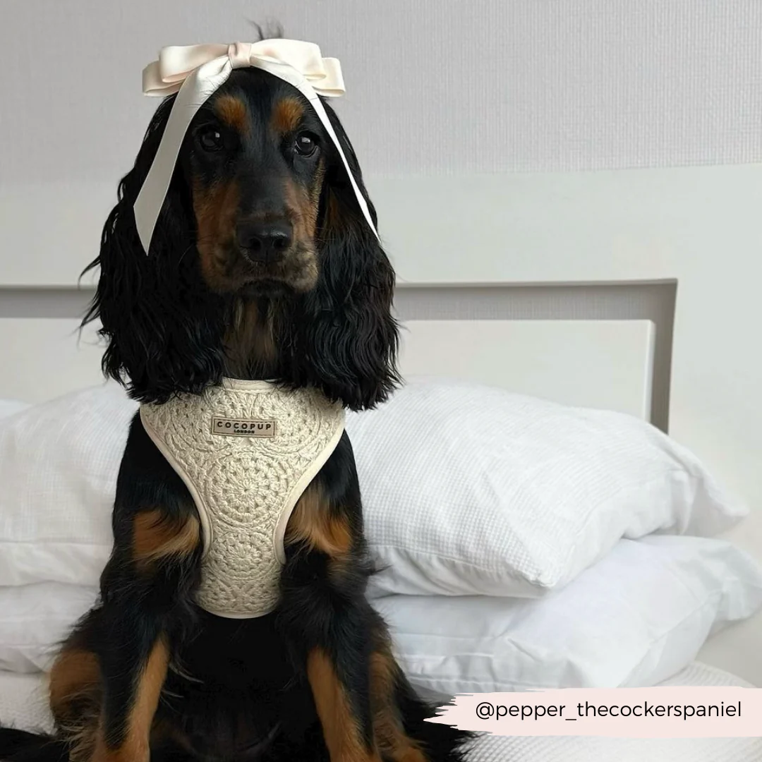 Festival Crochet Adjustable Neck HARNESS - Image 67