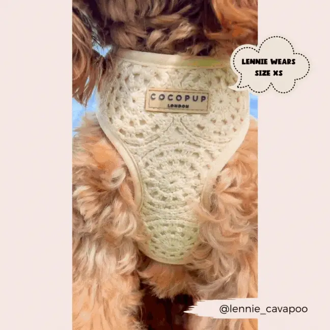 Festival Crochet Adjustable Neck HARNESS - Image 7