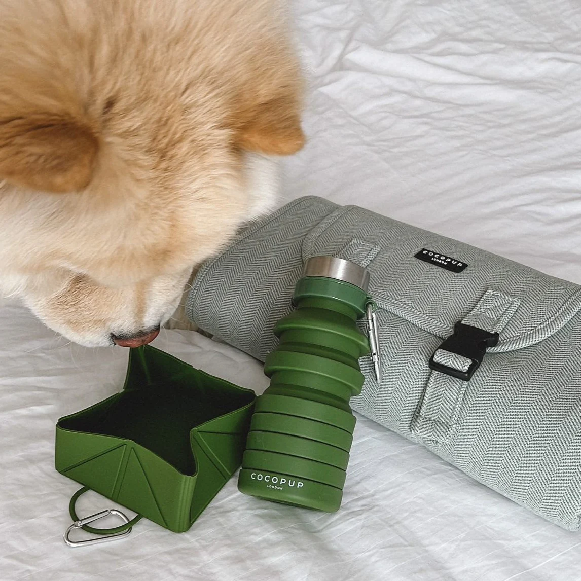 Foldable Travel Bowl - Khaki - Image 8