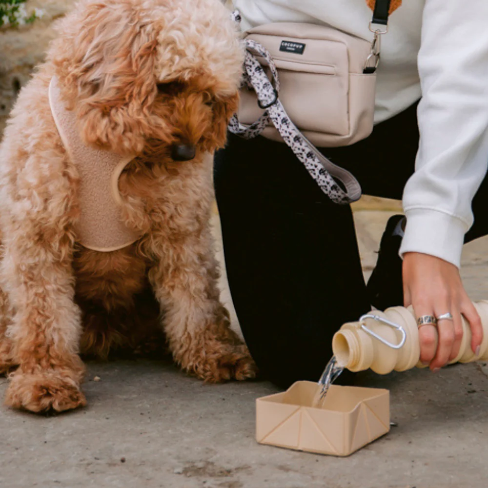 Foldable Travel Bowl - Nude - Image 5