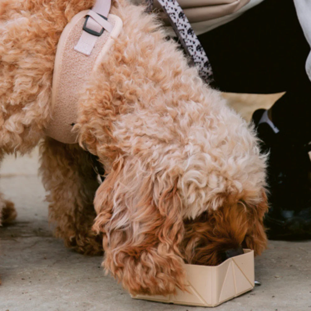 Foldable Travel Bowl - Nude - Image 6